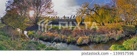 Spring lake and wetland panorama near Morfelden Germany Spring lake and wetland panorama near Morfelden Germany 139957596