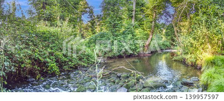 Forest creek in natural woodland near Morfelden Walldorf Forest creek in natural woodland near Morfelden Walldorf 139957597