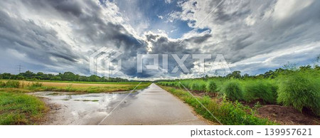 Country road with storm clouds and green asparagus field Country road with storm clouds and green asparagus field 139957621