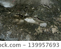Weathered Cracked Concrete Surface Texture 139957693