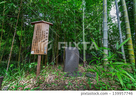 2023 年 9 月,在向島百花園的竹林中,矗立著一座小型石碑和資訊牌。 2023 年 9 月,在向島百花園的竹林中,矗立著一座小型石碑和資訊牌。 139957746