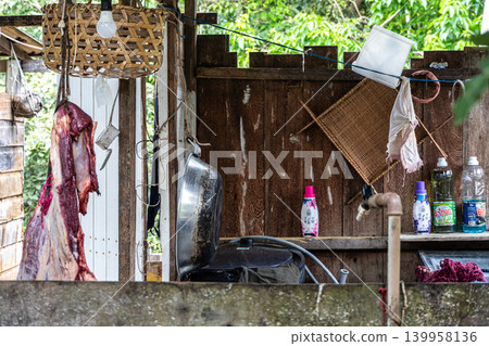 Alter do Chao, Brazil - Dec 17, 2025: Hiking the Sloth Trail in Tapajos National Forest, Amazon jungle, Alter do Chao, Brazil. Alter do Chao, Brazil - Dec 17, 2025: Hiking the Sloth Trail in Tapajos National Forest, Amazon jungle, Alter do Chao, Brazil. 139958136