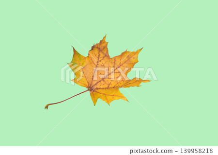 A yellow maple leaf A yellow maple leaf 139958218