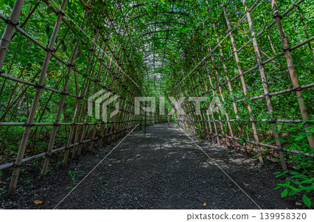 Inside the "Bush Clover Tunnel" at Mukojima Hyakkaen Garden, surrounded by lush greenery, September 2023. Inside the "Bush Clover Tunnel" at Mukojima Hyakkaen Garden, surrounded by lush greenery, September 2023. 139958320