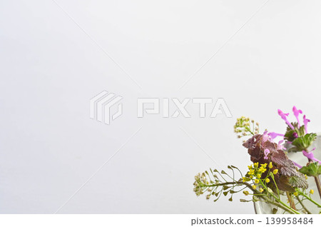 我採摘的野花 我採摘的野花 139958484