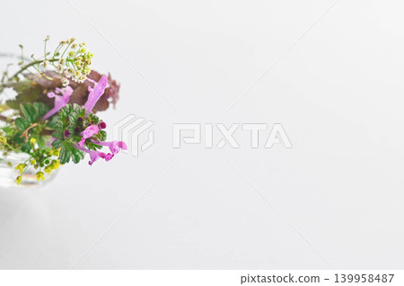 我採摘的野花 139958487