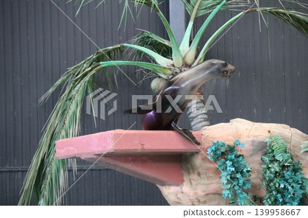 A natural sight of a bird perched on a rock ledge. A natural sight of a bird perched on a rock ledge. 139958667