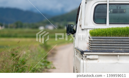 A scene of rice planting. A scene of rice planting. 139959011
