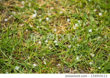 Hailstones on green grass after storm, extreme weather and climate change concept 139959113