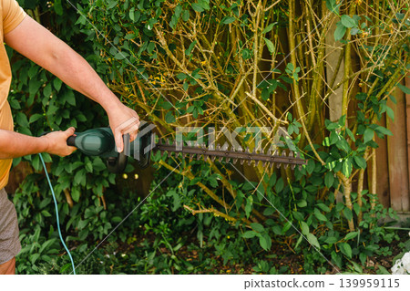 Person trimming garden hedge with electric hedge trimmer, backyard gardening maintenance Person trimming garden hedge with electric hedge trimmer, backyard gardening maintenance 139959115
