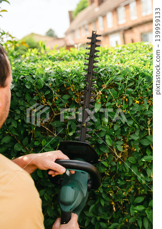 Person trimming garden hedge with electric hedge trimmer, backyard gardening maintenance 139959133
