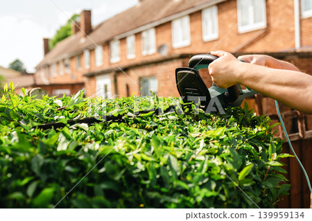 Person trimming garden hedge with electric hedge trimmer, backyard gardening maintenance Person trimming garden hedge with electric hedge trimmer, backyard gardening maintenance 139959134