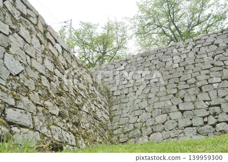 A historical landscape featuring towering stone walls and lush green trees. A historical landscape featuring towering stone walls and lush green trees. 139959300