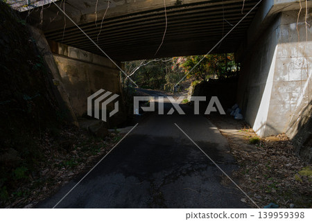 山間小路的隧道景色,陽光透過樹木灑下斑駁的光影。 山間小路的隧道景色,陽光透過樹木灑下斑駁的光影。 139959398