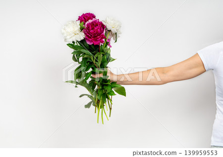 Close-up of a female hand holding and giving a beautiful bouquet of mixed white, pink, and burgundy peonies against a white background. Close-up of a female hand holding and giving a beautiful bouquet of mixed white, pink, and burgundy peonies against a white background. 139959553