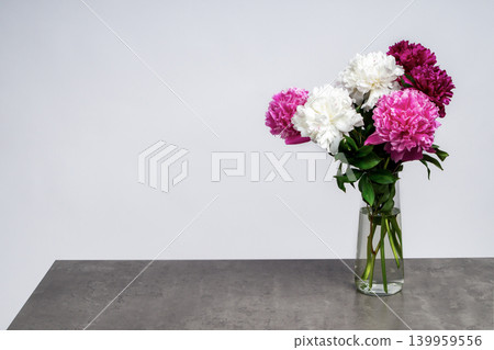 beautiful bouquet of mixed white, pink, and burgundy peonies in a glass vase standing on a grey concrete table with copy space. Variety Festiva Maxima, Sarah Bernhardt, Kansas, Karl Rosenfield. beautiful bouquet of mixed white, pink, and burgundy peonies in a glass vase standing on a grey concrete table with copy space. Variety Festiva Maxima, Sarah Bernhardt, Kansas, Karl Rosenfield. 139959556