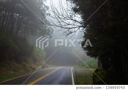 Misty forest road through mountain woodland Misty forest road through mountain woodland 139959743