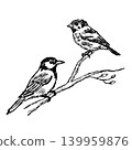 Two birds on branch sketch, hand drawn sparrow pair perched together on twig. Wildlife animal doodle art, nature study ink drawing, songbird couple avian creatures black white graphic 139959876
