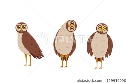 Set of cute funny owl with tilted leaned head. Vector illustration of cartoon forest night birds. Set of cute funny owl with tilted leaned head. Vector illustration of cartoon forest night birds. 139959998