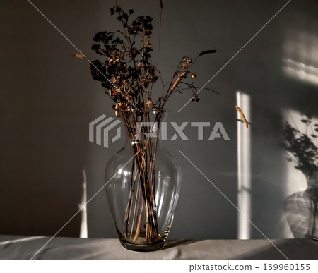 Elegant glass vase with dried flowers capturing beautiful light caustics on dark background. Artistic low key composition inspired by Caravaggio style with dramatic side lighting. Moody still life 139960155
