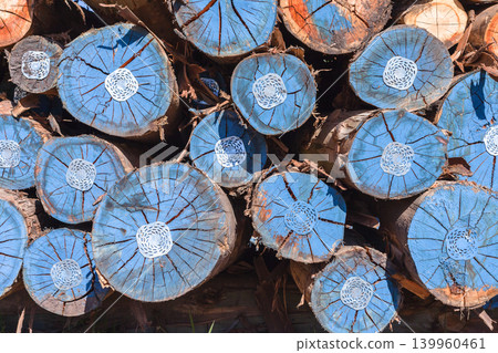 Tree Logs Grain Cuts Timber 139960461