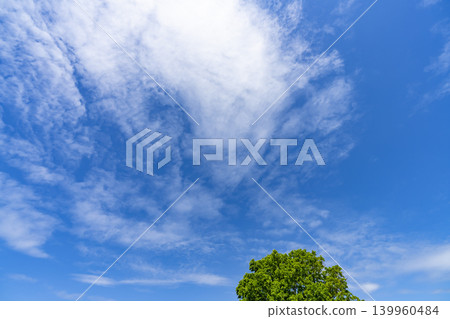 Blue sky and clouds and trees Blue sky and clouds and trees 139960484