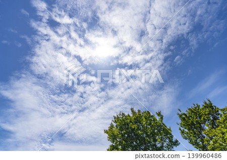 Blue sky and clouds and trees Blue sky and clouds and trees 139960486