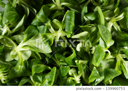 Organic green corn salad background. 139960753