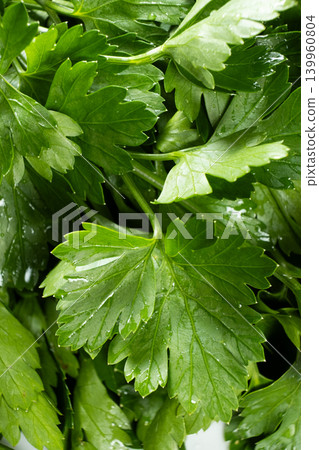 Bunch of raw aromatic parsley seasoning for cooking Bunch of raw aromatic parsley seasoning for cooking 139960804