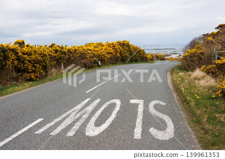 Slow road marking on country road lined with yellow flowers, Scotland Slow road marking on country road lined with yellow flowers, Scotland 139961353