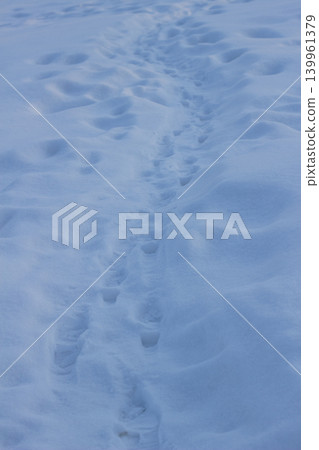 Snow texture background with ripples and shadows in winter Snow texture background with ripples and shadows in winter 139961379