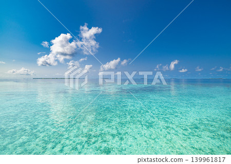 Tropical beach turquoise crystal clear calm minimal stunning breathtaking serene paradise exotic coastal island travel destination summer vacation dreamy tranquil pure fresh natural background wallart 139961817