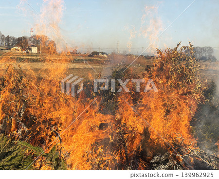 Dry grass, wildfire flame texture Dry grass, wildfire flame texture 139962925