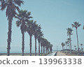 Palm trees and blue sky 139963338