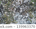 Rock surface with moss 139963370