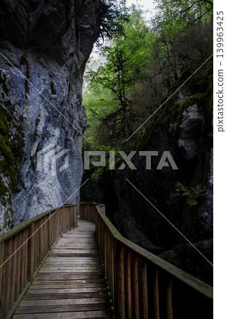 Wooden walkway in the valley Wooden walkway in the valley 139963425