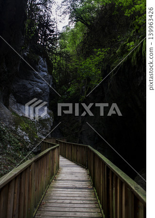 Wooden walkway in the valley Wooden walkway in the valley 139963426