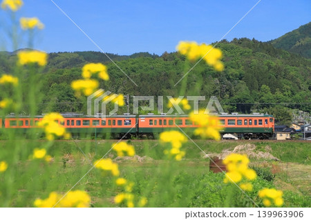 2026年5月7日,陽光明媚,北信濃鐵道115系列車行駛在北信濃線上,路旁油菜花盛開。 2026年5月7日,陽光明媚,北信濃鐵道115系列車行駛在北信濃線上,路旁油菜花盛開。 139963906
