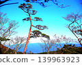 Japanese red pine trees along the walking trail around the pond in Ebino Plateau, Miyazaki Prefecture 139963923