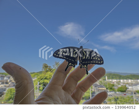 A beautiful swallowtail butterfly spreads its wings towards the sky of hope. A beautiful swallowtail butterfly spreads its wings towards the sky of hope. 139964052