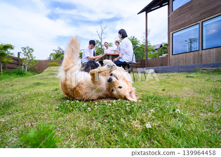 Dogs and people enjoying themselves in the garden Dogs and people enjoying themselves in the garden 139964458
