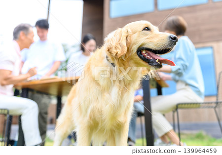 Dogs and people enjoying the outdoors Dogs and people enjoying the outdoors 139964459