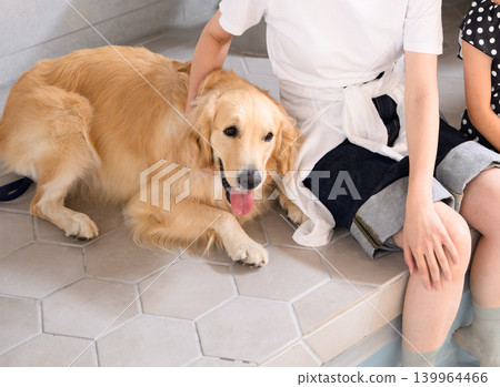People interacting with dogs 139964466