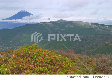 伊豆半島，伊豆山脊步道，從玉之山山頂眺望白雪皚皚的富士山和達摩山 139964587