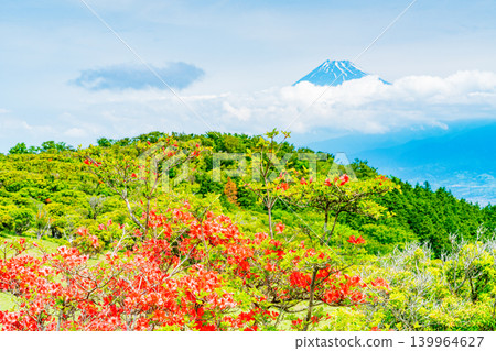 [Shizuoka Prefecture] Mt. Kinkan, with its beautiful mountain azaleas, and Mt. Fuji across the sea. 139964627