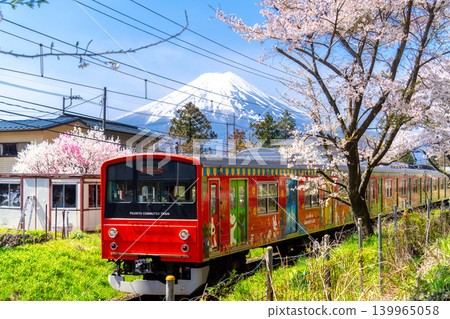 Fujikyu Railway 6000 series train running through the area with Mount Fuji and cherry blossom trees in full bloom. Fujikyu Railway 6000 series train running through the area with Mount Fuji and cherry blossom trees in full bloom. 139965058
