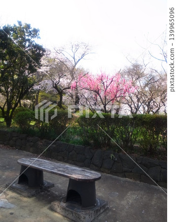 蝴蝶園 蝴蝶園 139965096