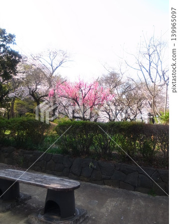 蝴蝶園 蝴蝶園 139965097