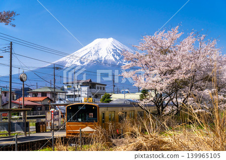 Fujikyu Railway 6000 series train running through the area with Mount Fuji and a row of cherry trees in full bloom. Fujikyu Railway 6000 series train running through the area with Mount Fuji and a row of cherry trees in full bloom. 139965105
