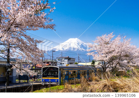 Fujikyu Railway 6000 series train running through the area with Mount Fuji and cherry blossom trees in full bloom. Fujikyu Railway 6000 series train running through the area with Mount Fuji and cherry blossom trees in full bloom. 139965106